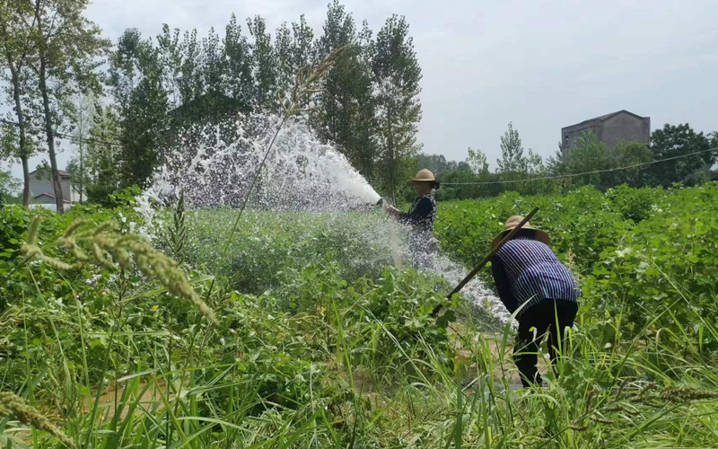 農(nóng)民正在澆灌田地。