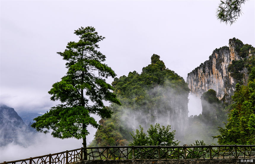 湖北建始：秋韻黃鶴橋 仙境醉游人