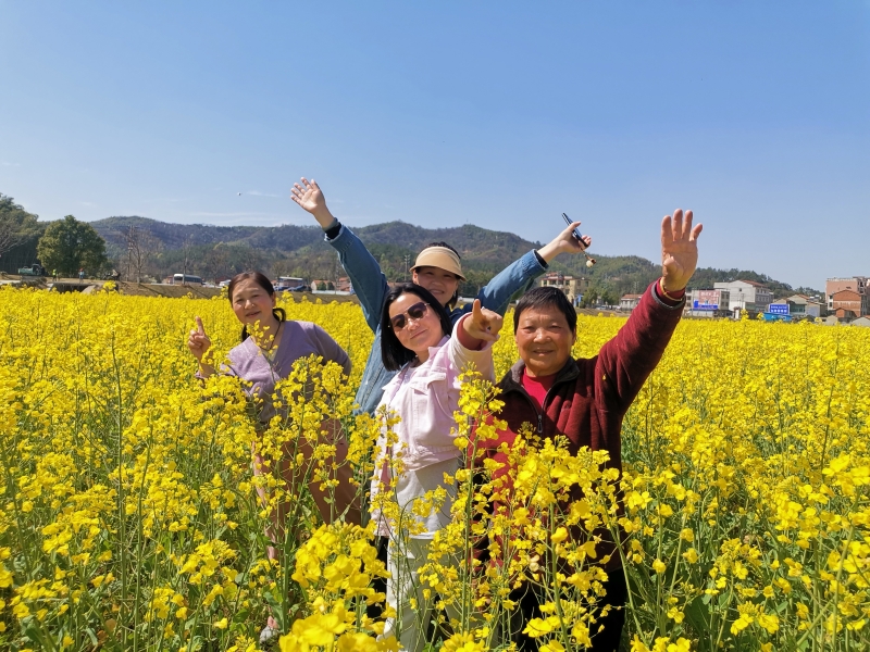 游客打卡湖北咸安油菜花海。胡劍芳攝