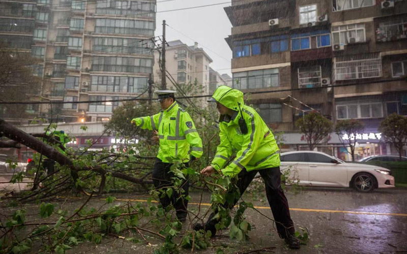 交警清除樹枝等路障。