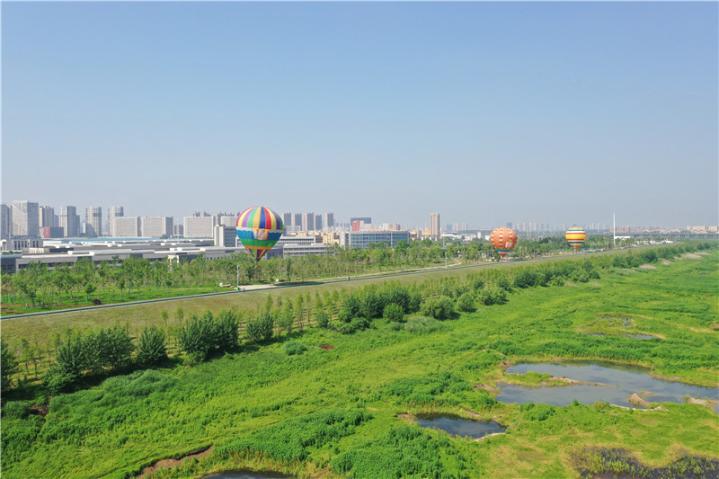 府河兩岸綠意盎然。東西湖區(qū)委宣傳部供圖