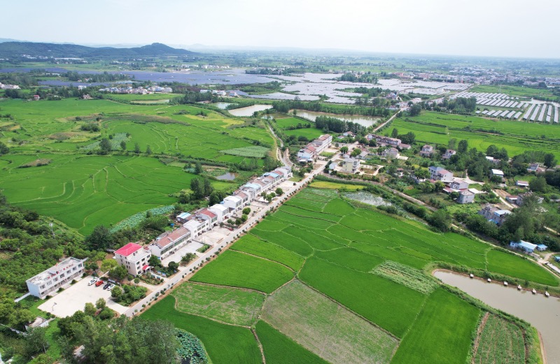 美麗鄉(xiāng)村新圖景。天門市委宣傳部供圖 