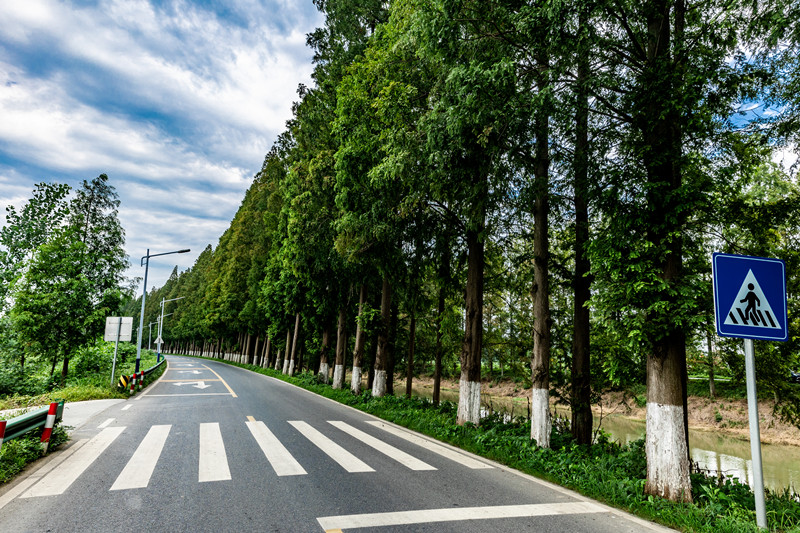 潛江市鹽興公路。潛江市交通運(yùn)輸局供圖