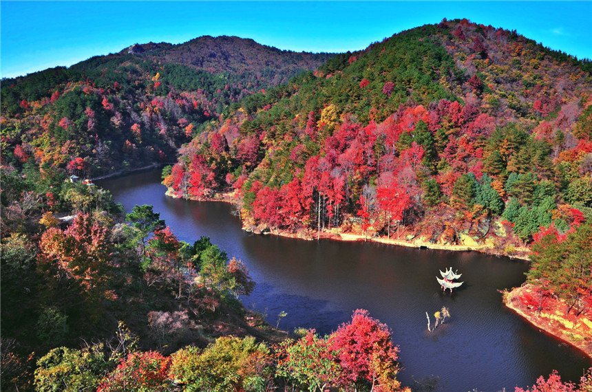 湖北黃陂：十里紅葉“醉”游人