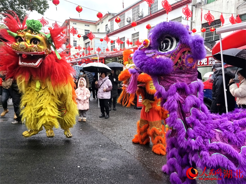 舞龍舞獅鬧新春。人民網(wǎng)記者 周雯攝