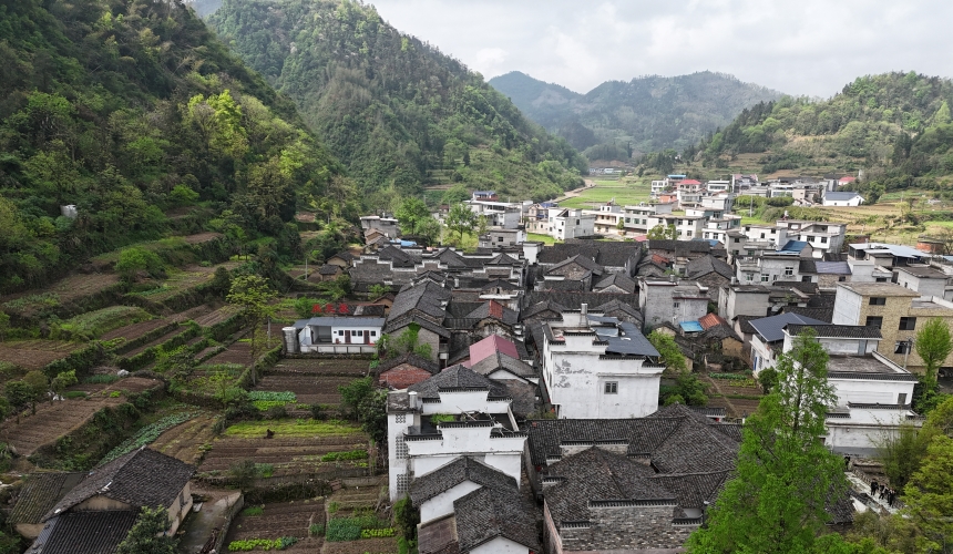 航拍通山石門村長(zhǎng)夏畈古民居群。尹多黎攝