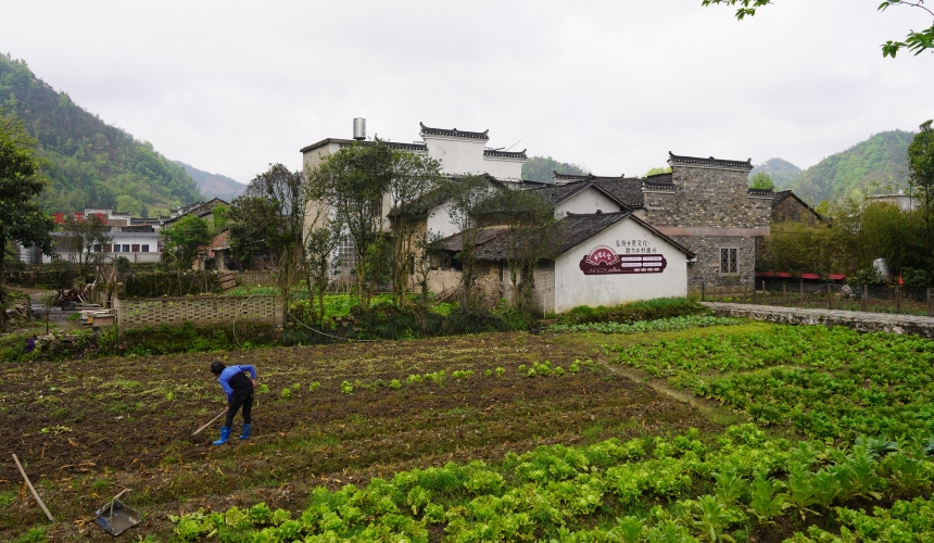 在通山石門村長夏畈古民居群，村民正在田間勞作。人民網(wǎng)記者 周雯攝