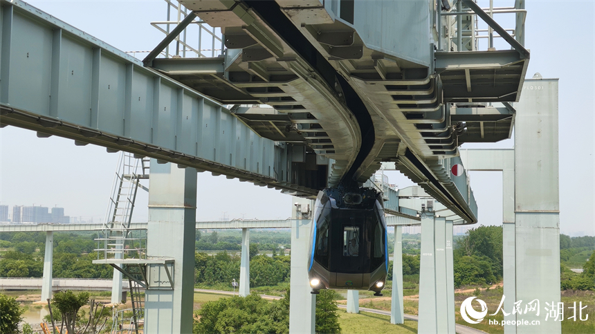 空軌列車車體懸掛于軌道梁下方“飛行”。人民網(wǎng)記者 王郭驥攝