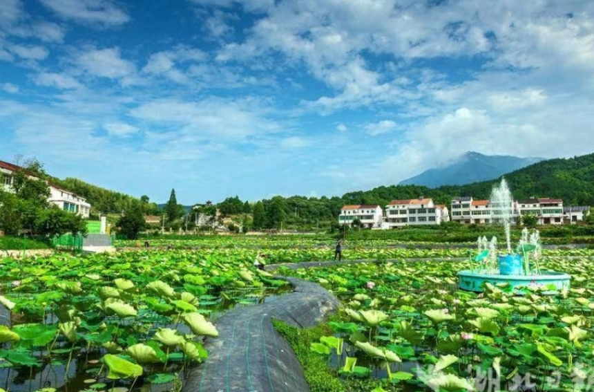 湖北武穴多彩旅游路串起一路好風景。