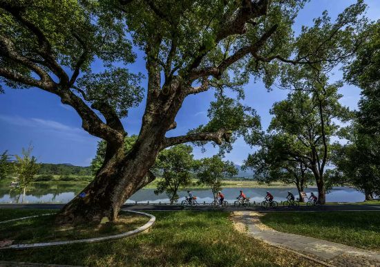 武夷山國家公園1號風(fēng)景道（南平崇陽溪段）。吳大灼 攝